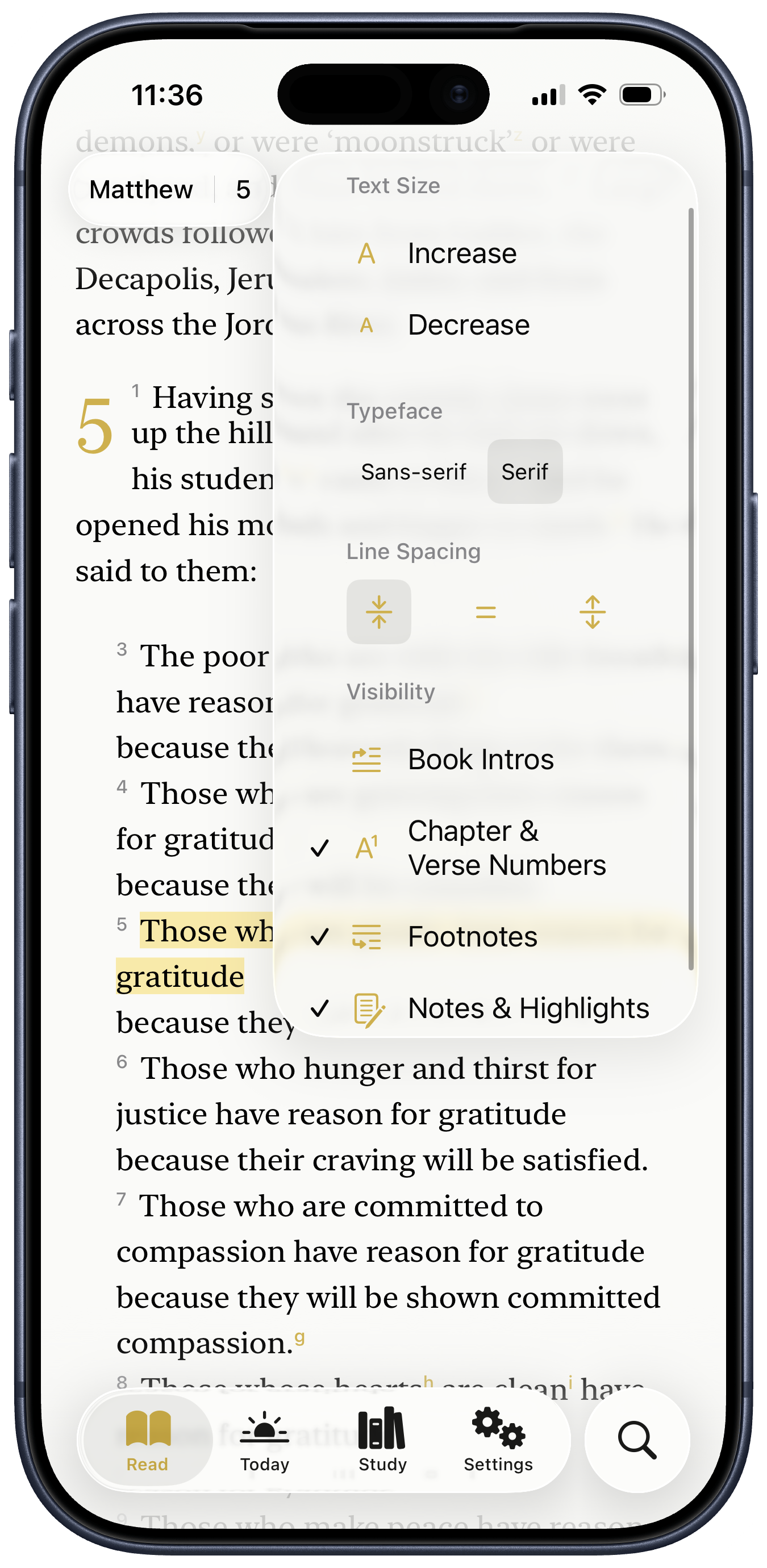 LIT Bible on iPhone — Matthew 5, the Beatitudes, with display options panel